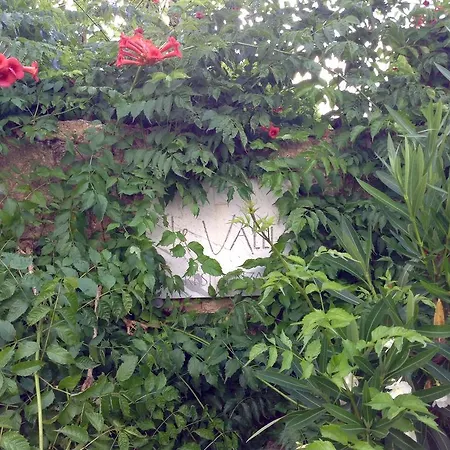 Le Valli ポマランチェ